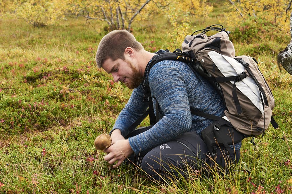 Bilde av mann som plukker bær i marka